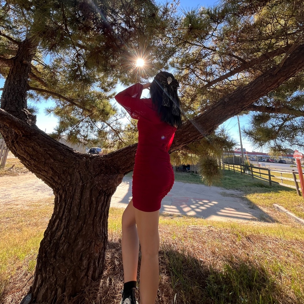 Meet your Posher, Ansley